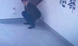 拉屎的视频,一场关于人体排泄的奇妙之旅